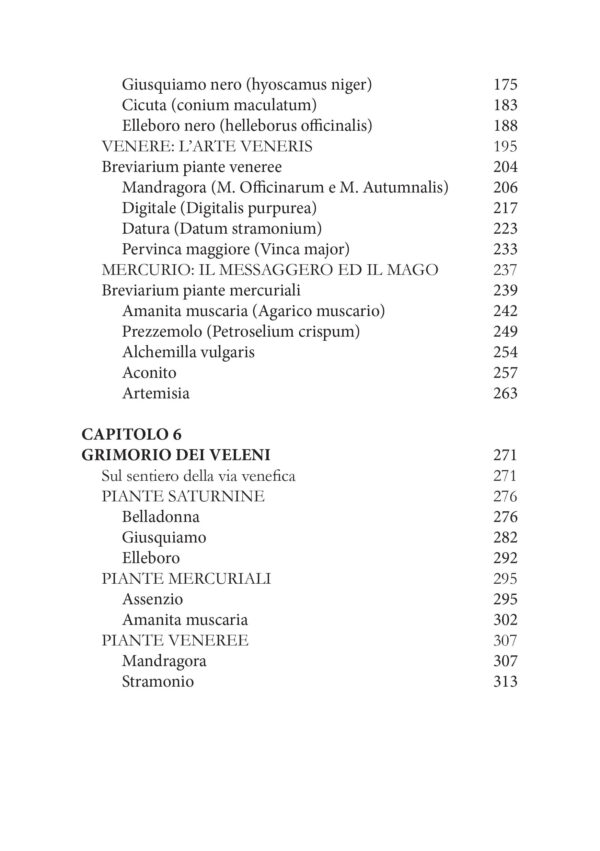 VENEFICIUM - immagine 4